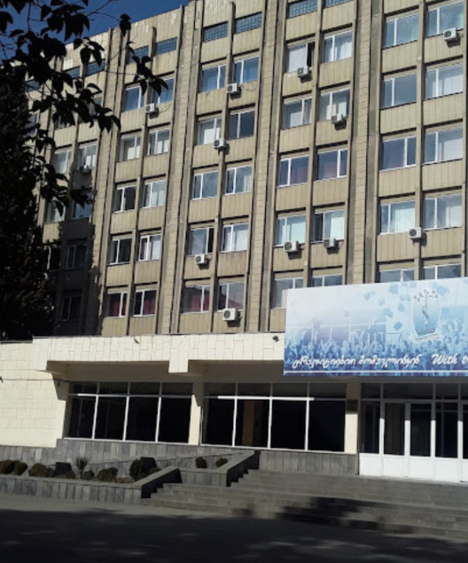 Advantages of Tbilisi State Medical University Education hub