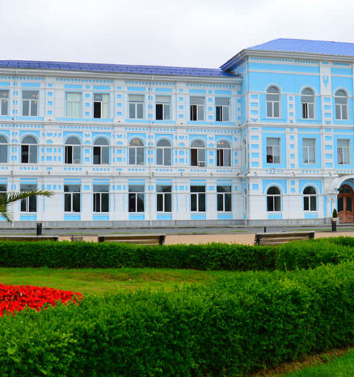 Batumi Shota Rustaveli State University Educationhub LLP main